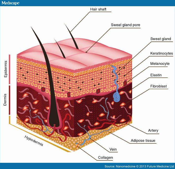 Derma pen and the skin Enhance Me Training Academy